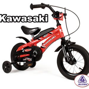 Injusa_Kawasaki__4c02525818e94