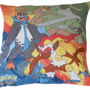 Pokemon_Kussen__4bbc74da127ad